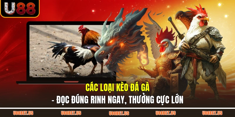 Các loại kèo đá gà - đọc đúng rinh ngay, thưởng cực lớn