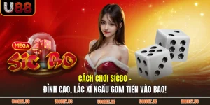 Cách Chơi Sicbo - Đỉnh Cao, Lắc Xí Ngầu Gom Tiền Vào Bao!