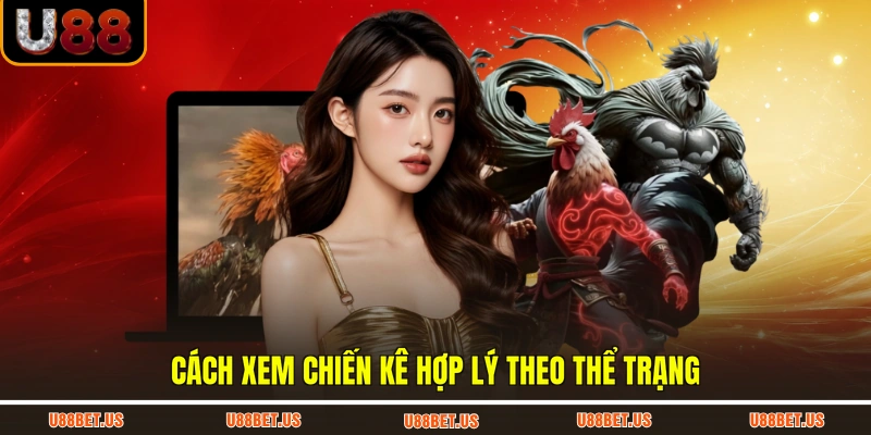 Cách xem chiến kê hợp lý theo thể trạng