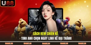 Cách Xem Chiến Kê - Tinh Anh Chọn Ngay Linh Kê Đại Thành