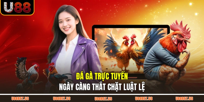 Đá gà trực tuyến ngày càng thắt chặt luật lệ