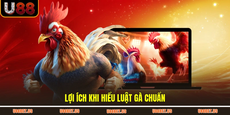 Lợi ích khi hiểu luật gà chuẩn