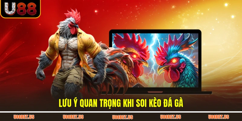 Lưu ý quan trọng khi soi kèo đá gà