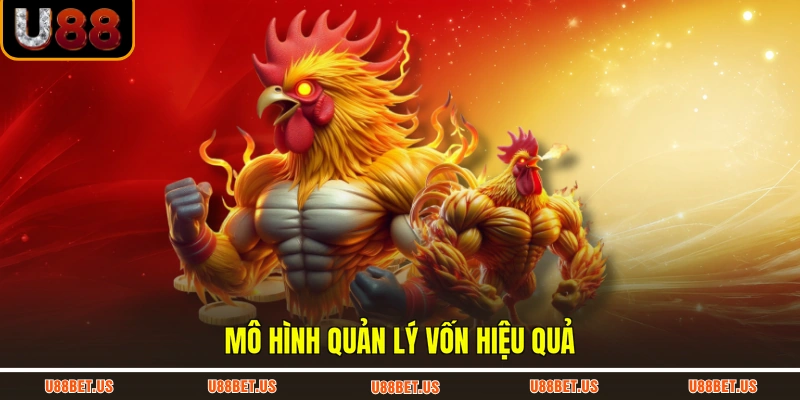 Mô hình quản lý vốn hiệu quả