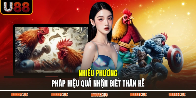 Nhiều phương pháp hiệu quả nhận biết thần kê