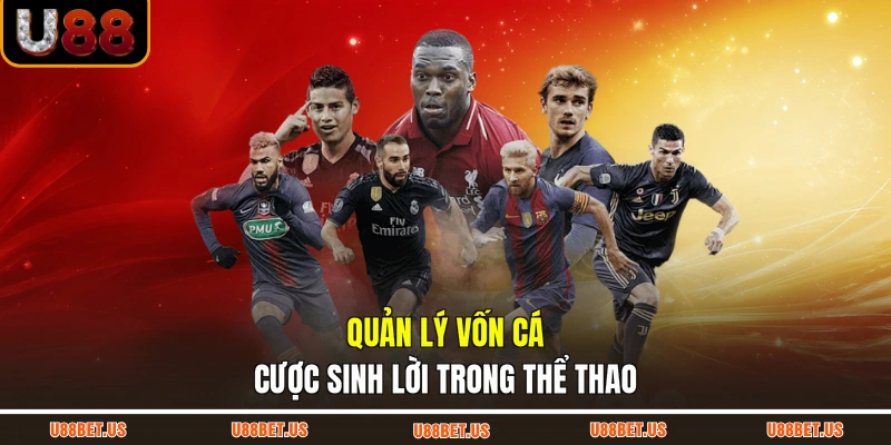 Quản lý vốn cá cược sinh lời trong thể thao