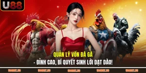 Quản Lý Vốn Đá Gà - Đỉnh Cao, Bí Quyết Sinh Lời Dạt Dào!