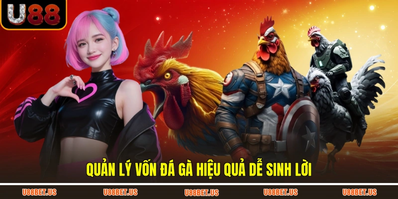 Quản lý vốn đá gà hiệu quả dễ sinh lời