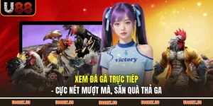 Xem Đá Gà Trực Tiếp - Cực Nét Mượt Mà, Săn Quà Thả Ga