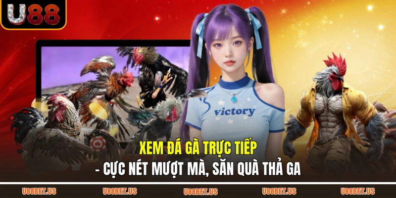Xem Đá Gà Trực Tiếp - Cực Nét Mượt Mà, Săn Quà Thả Ga
